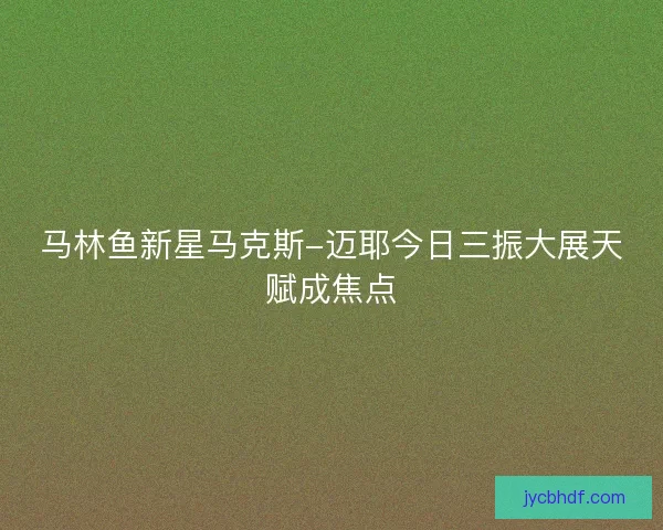 马林鱼新星马克斯-迈耶今日三振大展天赋成焦点